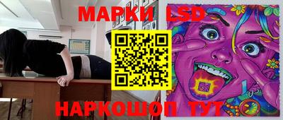 индика Жуковский
