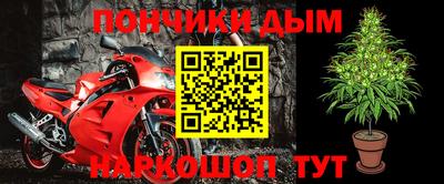 стафф Заводоуковск