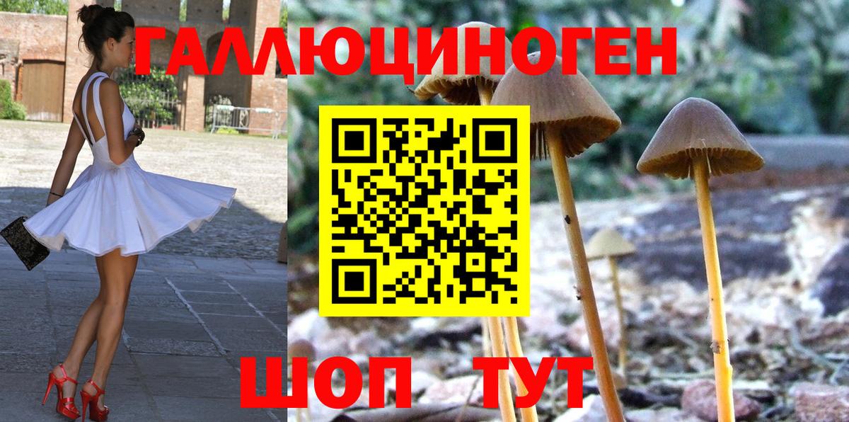 Будённовск  Галлюциногенные грибы MAGIC MUSHROOMS  Вход с VPN 