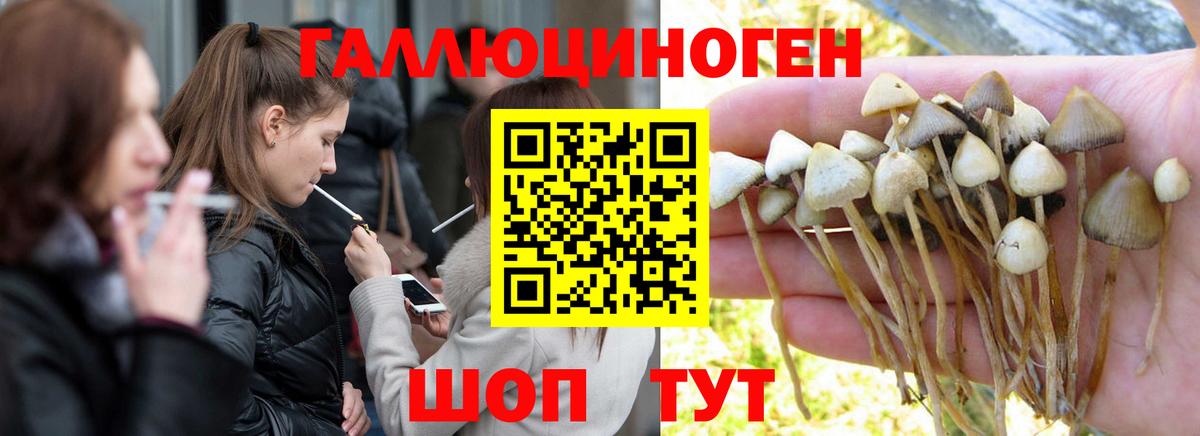 Псилоцибиновые грибы MAGIC MUSHROOMS Будённовск